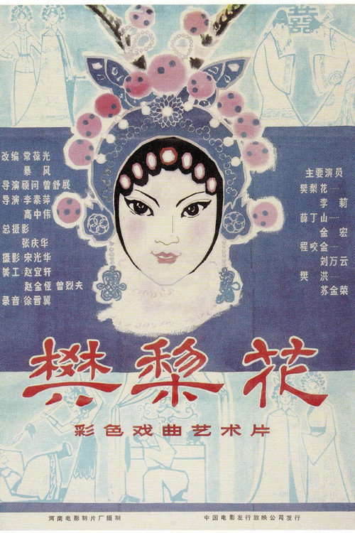 樊梨花 封面