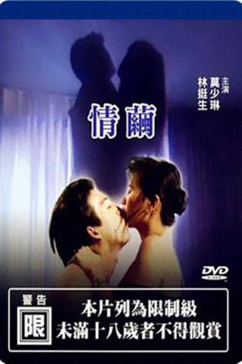 情茧 封面