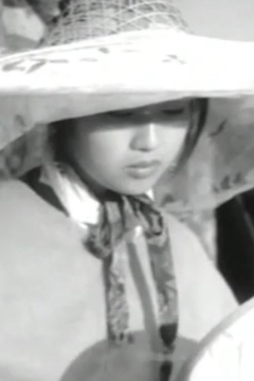 留兰 封面