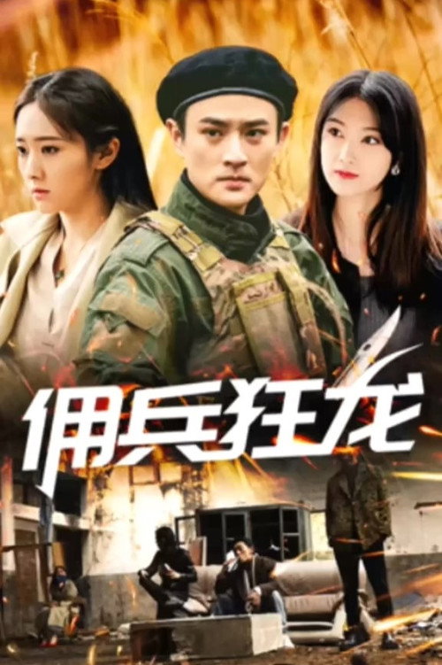 佣兵狂龙 封面