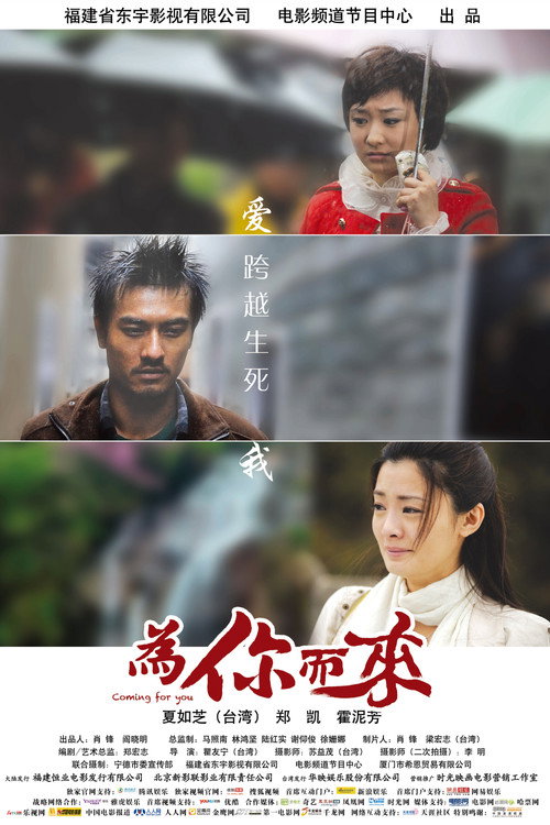 为你而来 封面