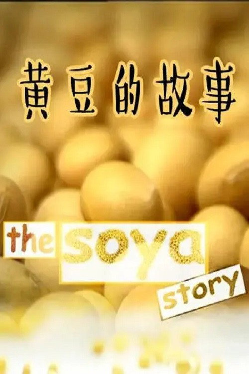 黄豆的故事 封面