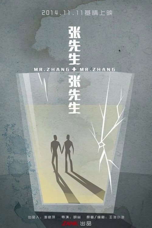 张先生和张先生 封面