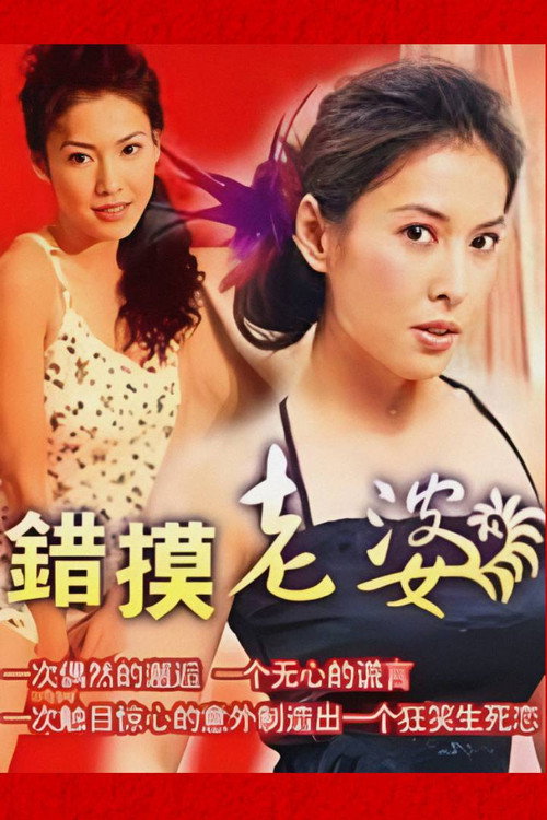 错摸老婆 封面