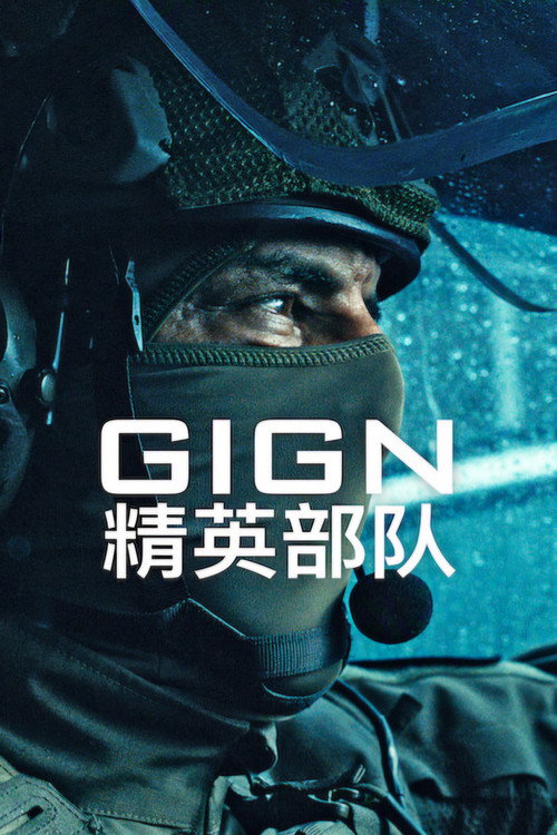 GIGN：精英部队 封面