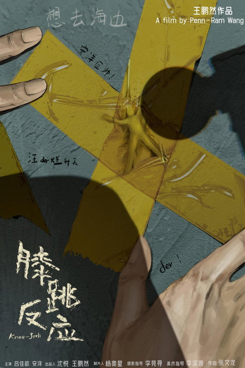 膝跳反应 封面