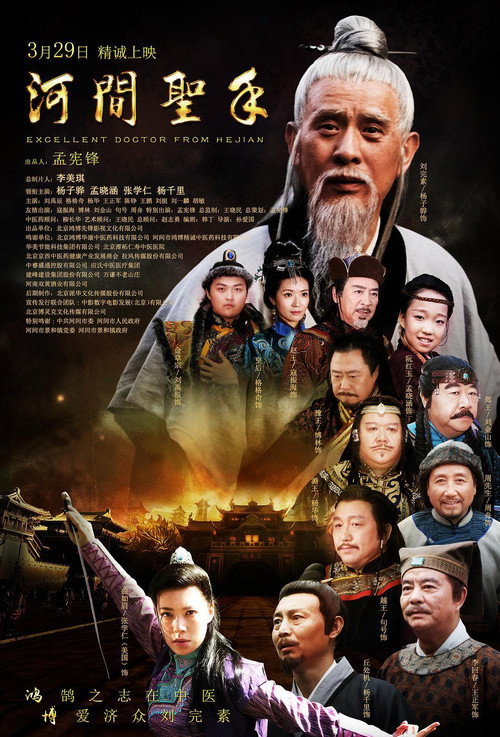 河间圣手 封面