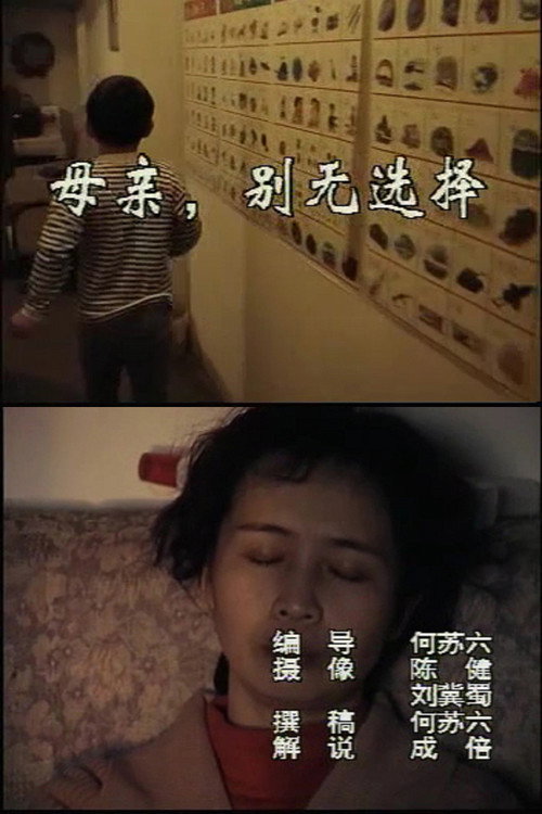 母亲，别无选择 封面