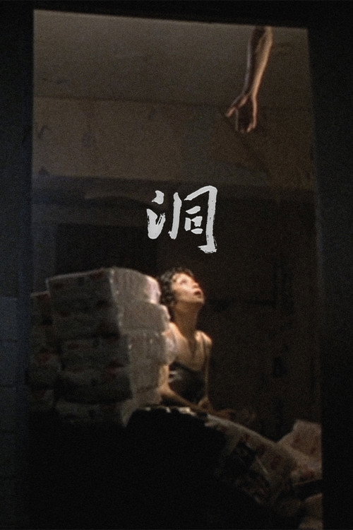 洞 封面