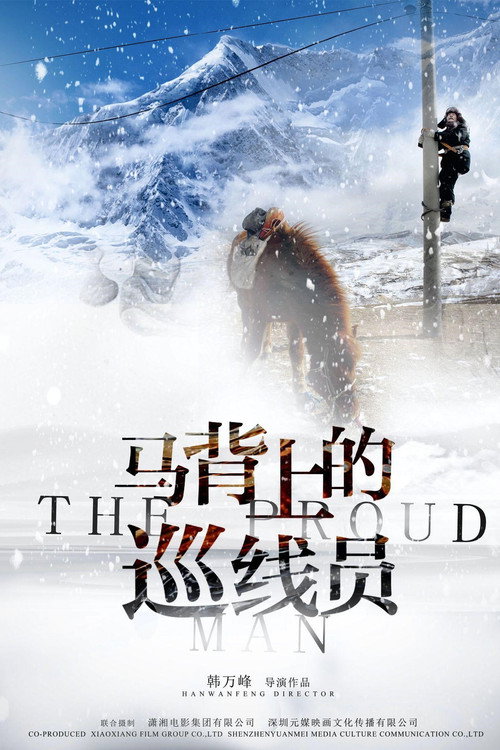 马背上的巡线员 封面