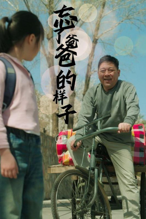 忘了爸爸的样子 封面