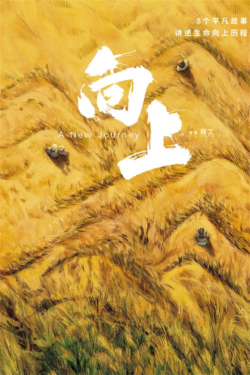 向上 封面