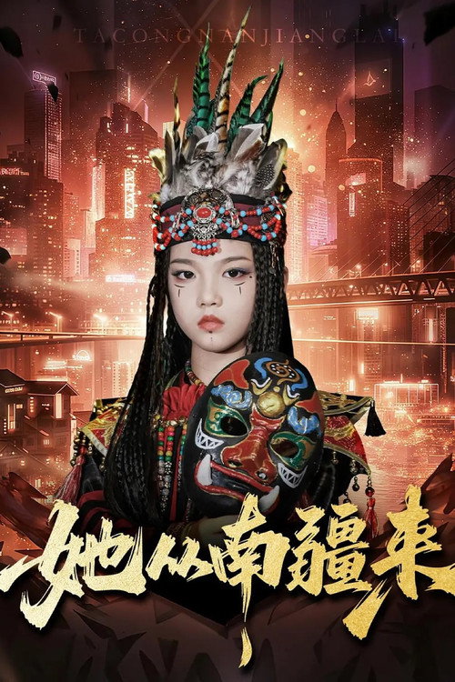 她从南疆来 封面