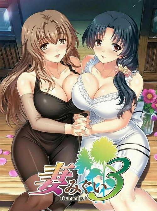 妻中蜜3 封面