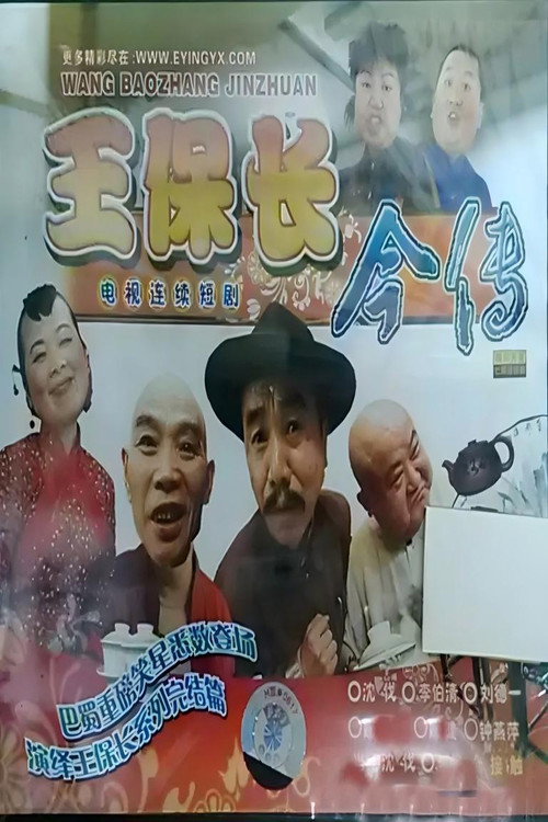 王保长今传 封面