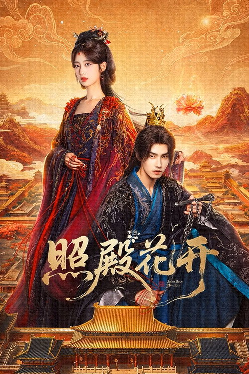 照殿花开 封面