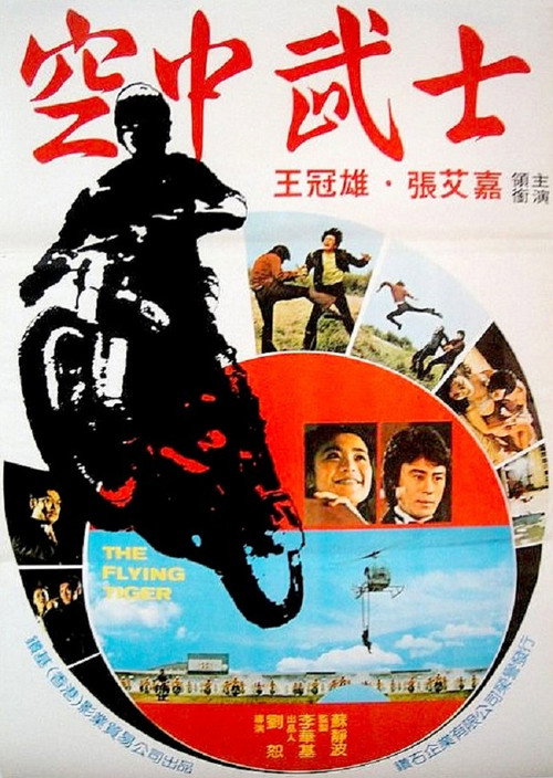 飛虎小霸王 封面