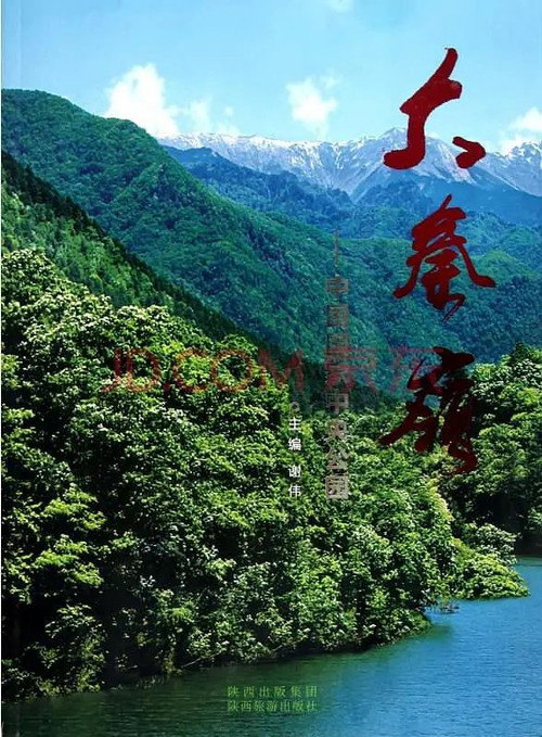 大秦岭 封面
