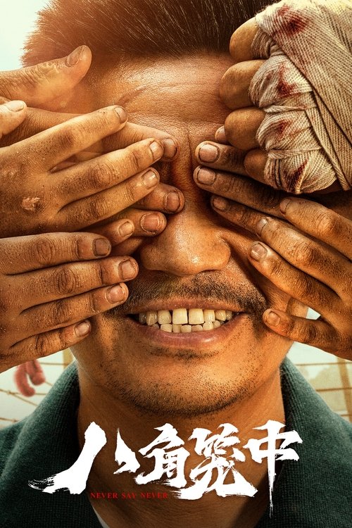 八角笼中 封面