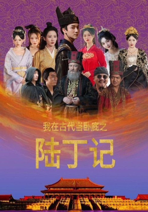 我在古代当卧底之陆丁记 封面
