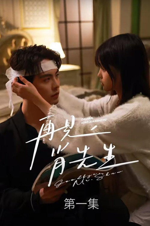 再见了，肖先生 封面