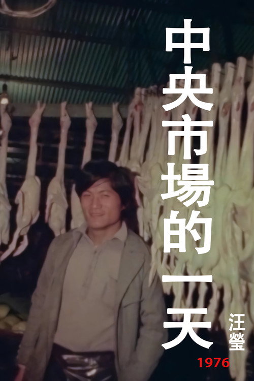 中央市场的一天 封面