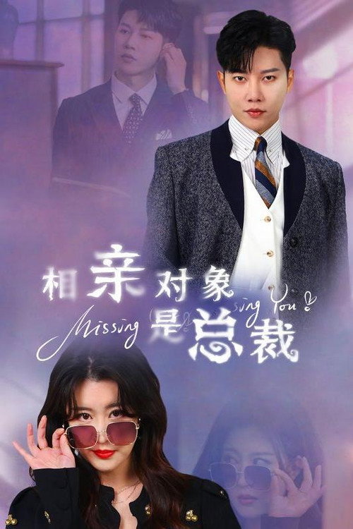 相亲对象是总裁 封面