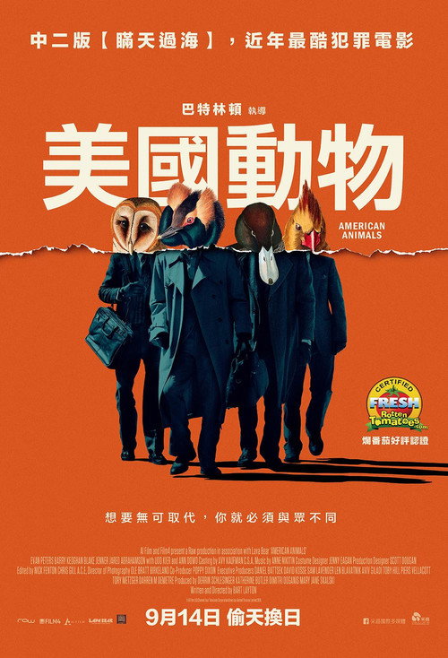 美国动物 封面