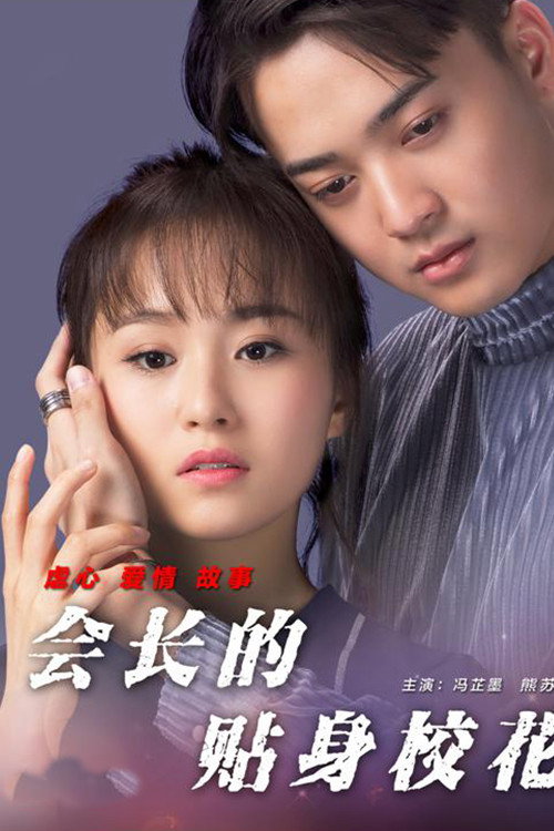 会长的贴身校花 封面