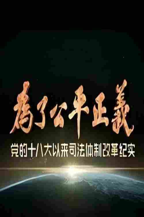 为了公平正义 封面