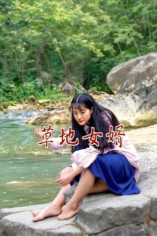 草地女婿 封面
