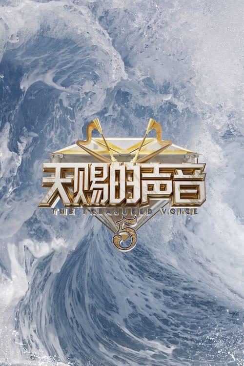 天赐的声音 封面