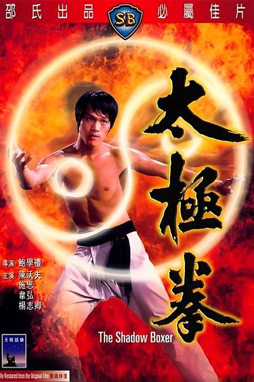 太极拳 封面