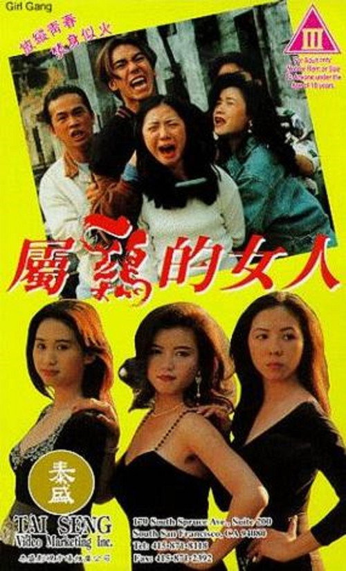 属鸡的女人 封面