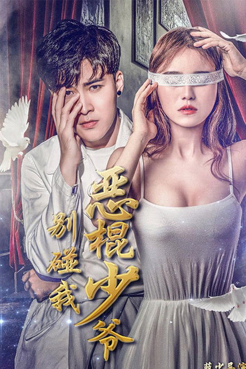 恶棍少爷别碰我 封面
