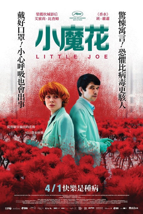 小小乔 封面