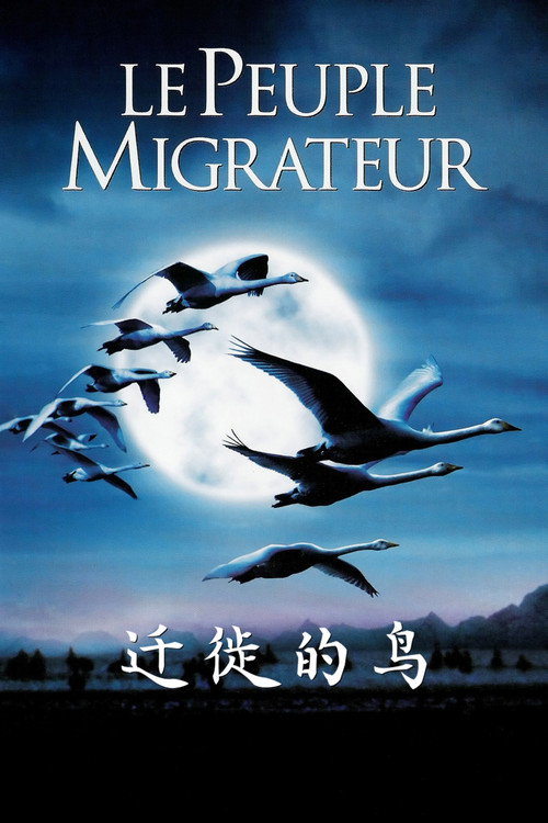迁徙的鸟 封面