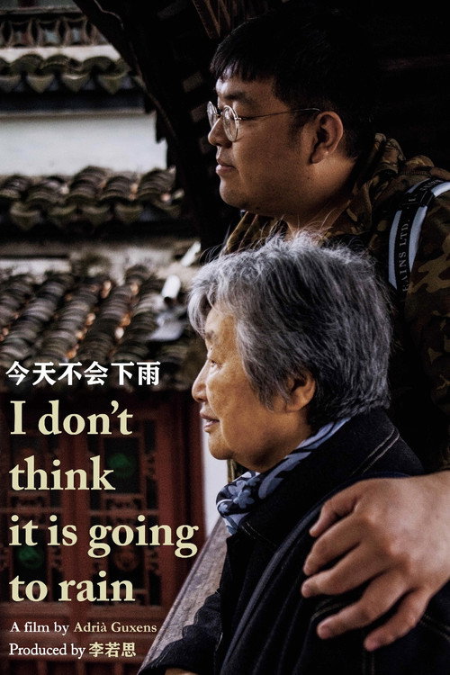 Jin Tian Bu Hui Xia Yu 封面