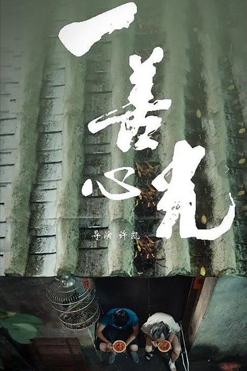 一善心光 封面