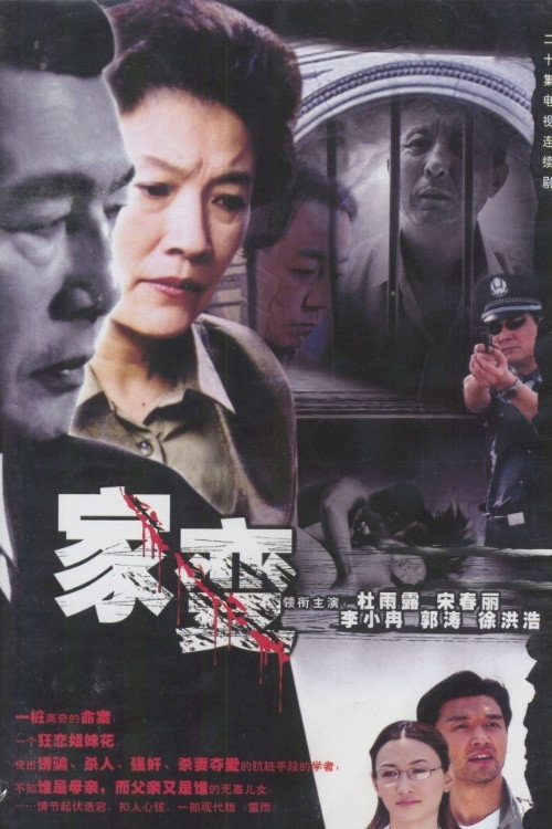 家变 封面