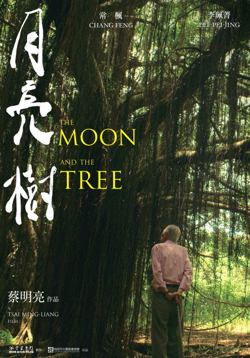 月亮树 封面