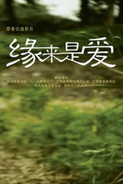 缘来是爱 封面