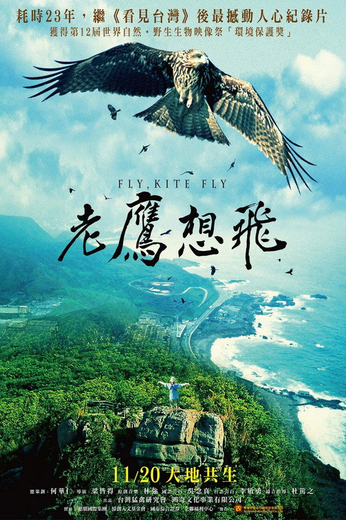 老鷹想飛 封面