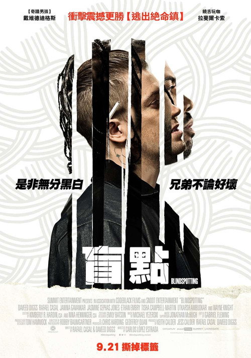 盲点 封面