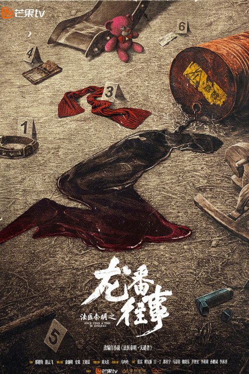 法医秦明之龙番往事 封面