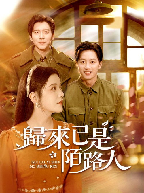 歸來已是陌路人 封面