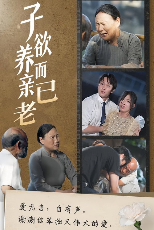 子欲养而亲已老 封面