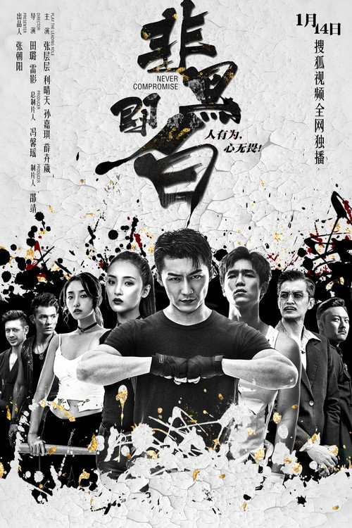 非黑即白 封面