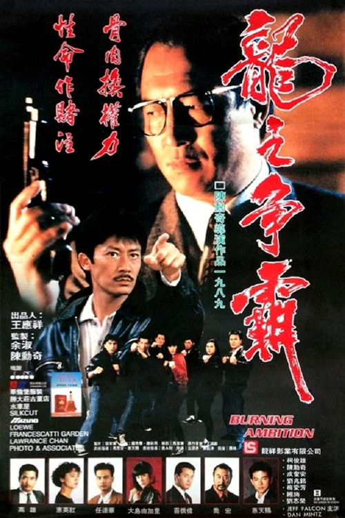 龙之争霸 封面