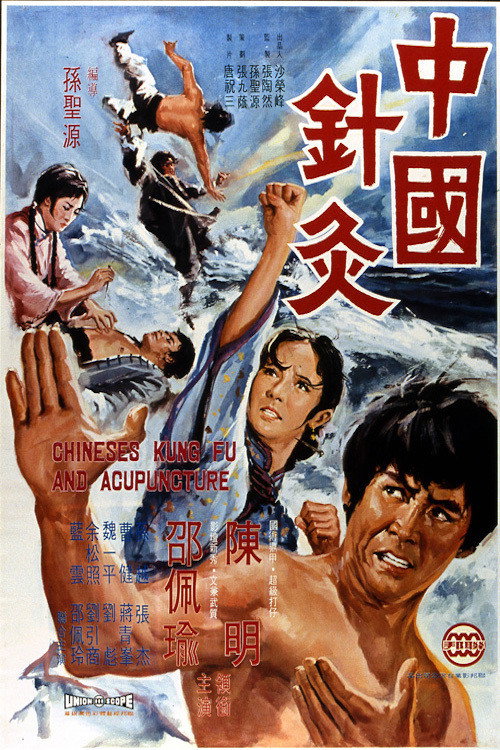 中國針灸 封面
